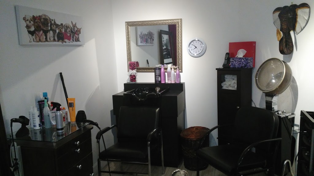 Coiffure Bellerose | 6 Rue des Spirées, Pont-Rouge, QC G3H 0C9, Canada | Phone: (418) 873-8005