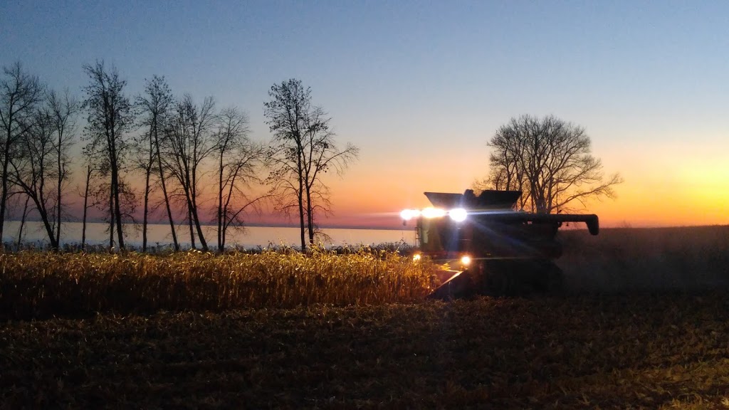 Greydafton Farms | 866 Wicklow Rd, Grafton, ON K0K 2G0, Canada | Phone: (905) 269-5677