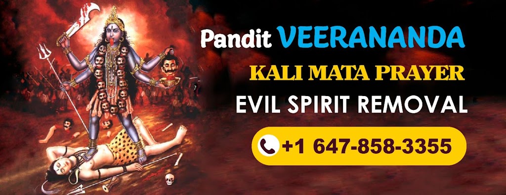 Best Indian astrologer & Psychic | 1101 Victoria Park Ave #3, Scarborough, ON M4B 2K2, Canada | Phone: (647) 858-3355