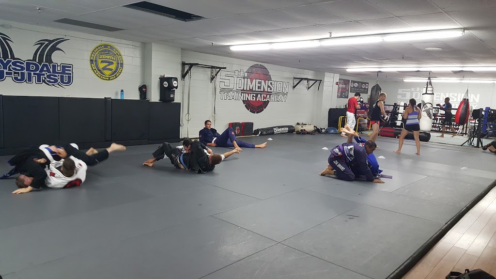 5th Dimension Training Academy | 1119 Fennell Ave E, Hamilton, ON L8T 1S2, Canada | Phone: (905) 906-4616