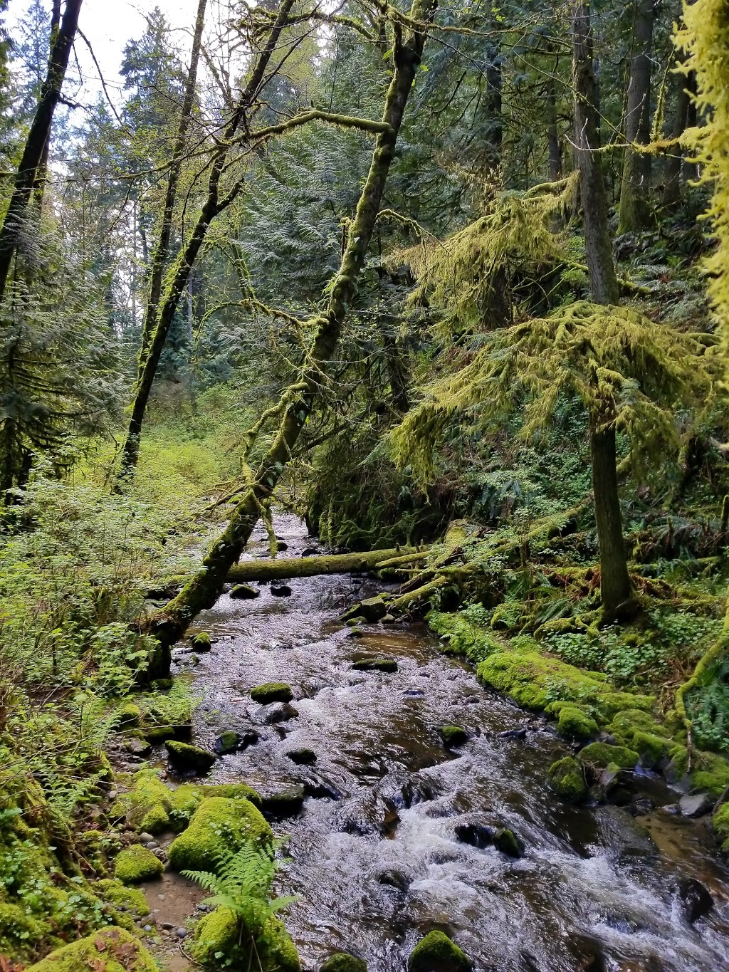Arroyo Park | 1700 Old Samish Rd, Bellingham, WA 98229, USA | Phone: (360) 778-7000