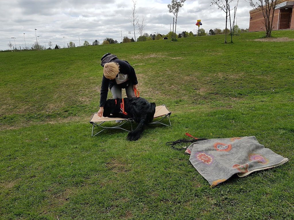 DOG-HAPPY Dog Training and Behaviour Consultations | Brock Rd, Uxbridge, ON L9P 1R4, Canada | Phone: (416) 735-2117