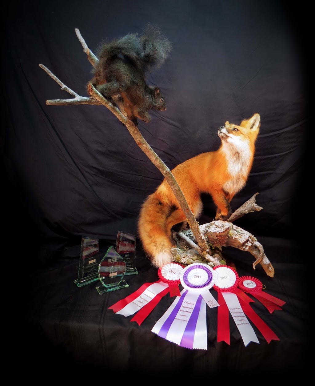 Chris Rawn Taxidermy & Wildlife Arts | 3319 Flos Rd 3 W, Stayner, ON L0M 1S0, Canada | Phone: (705) 719-8732