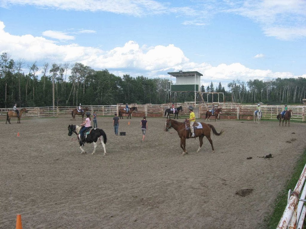 Birch Bay Ranch | 51505 Range Rd 215, Sherwood Park, AB T8E 1H1, Canada | Phone: (780) 922-2883
