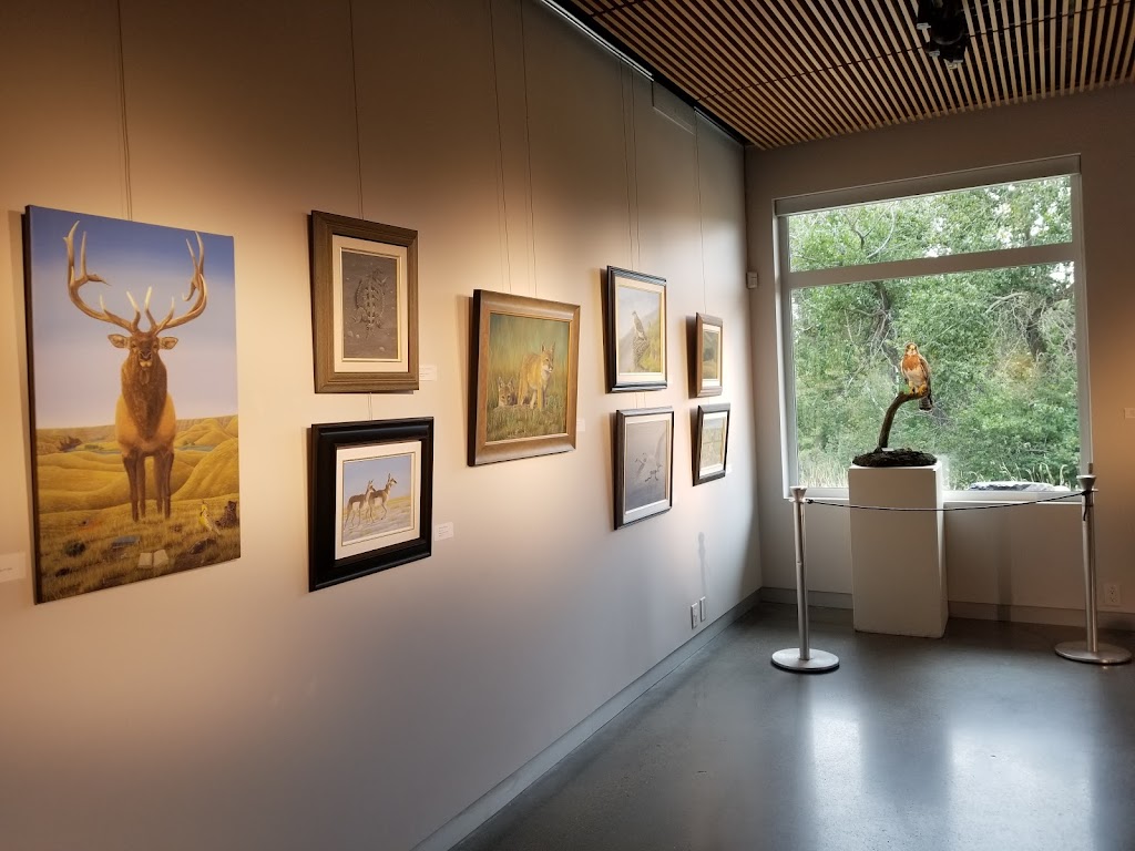 Helen Schuler Nature Centre | 300 Indian Battle Rd S, Lethbridge, AB T1J 0P6, Canada | Phone: (403) 320-3064