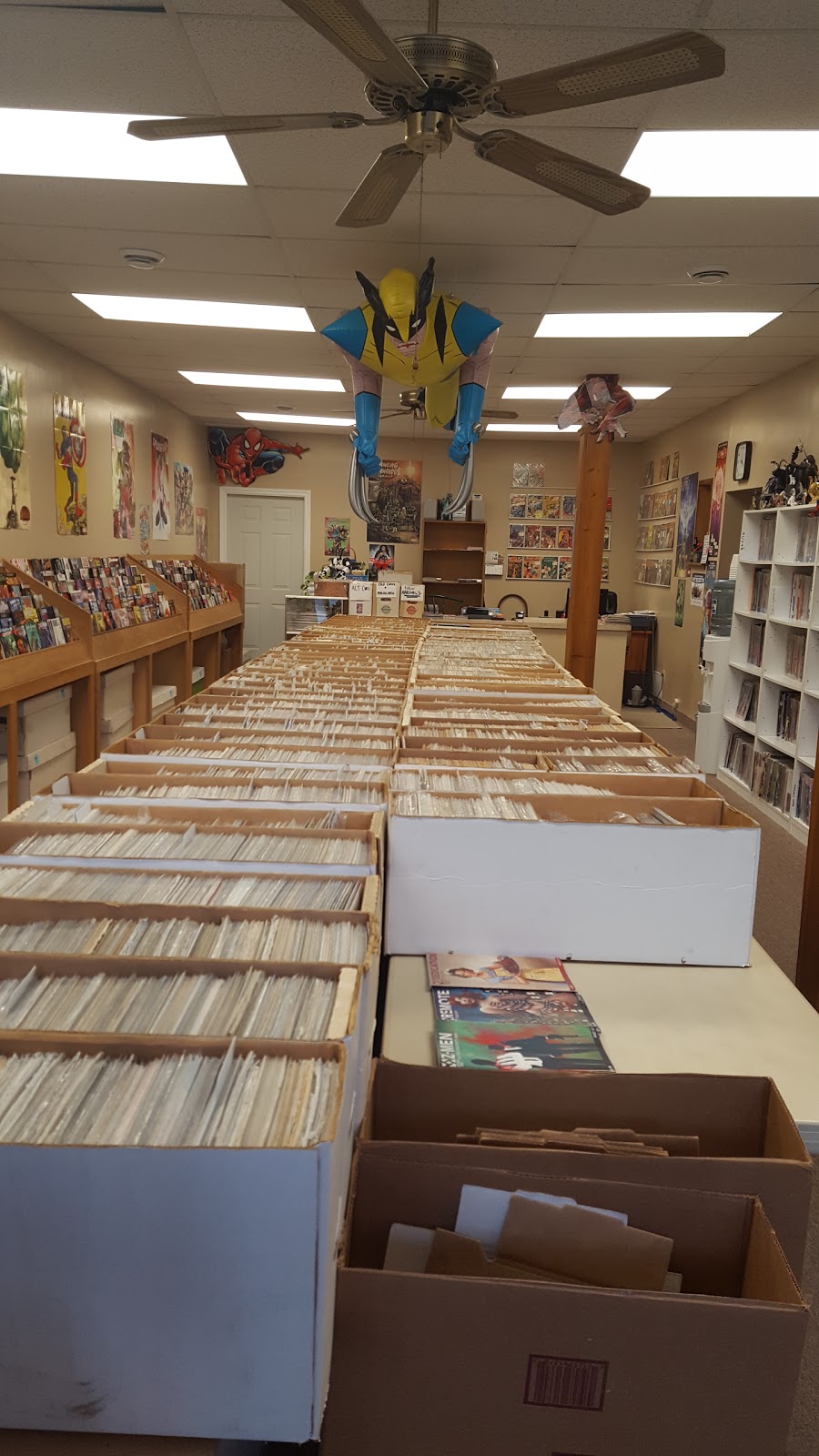Border City Comics | 4449 Tecumseh Rd E, Windsor, ON N8W 1K6, Canada | Phone: (519) 977-7311