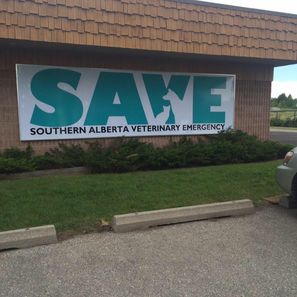 SAVE - Southern Alberta Veterinary Emergency | 322233 15th Street East, Okotoks, AB T1S 1A6, Canada | Phone: (403) 995-3270