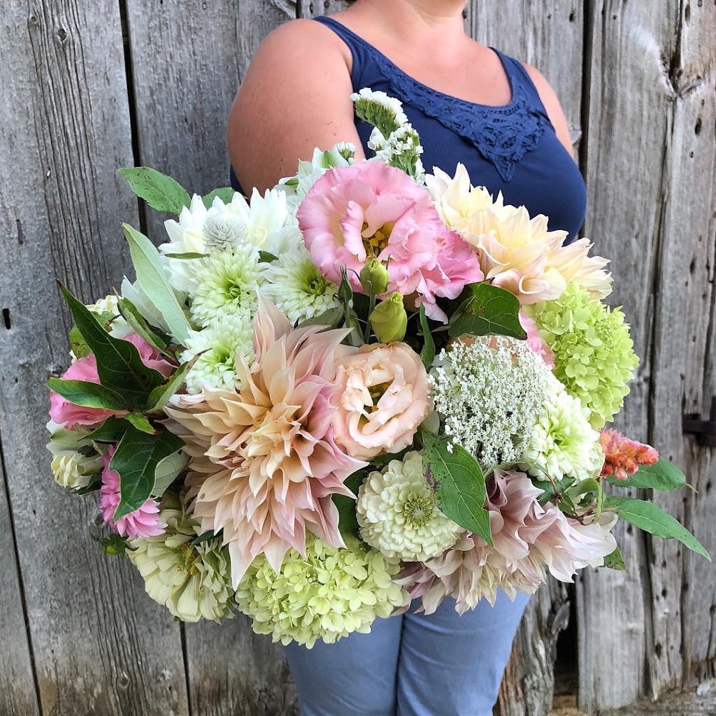 Harris Flower Farm | 42488 Ron McNeil Line, St. Thomas, ON N5P 3T1, Canada | Phone: (519) 668-9537