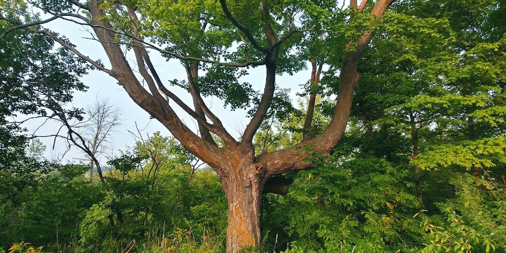 Village of Newport Park | Brant, ON N3T 5L6, Canada
