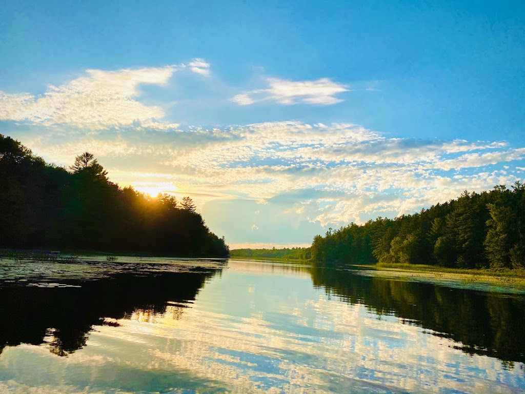 Fish Tale Cabins & Campground | 2597 Wolseley Bay Rd, Noëlville, ON P0M 2N0, Canada | Phone: (705) 898-3222