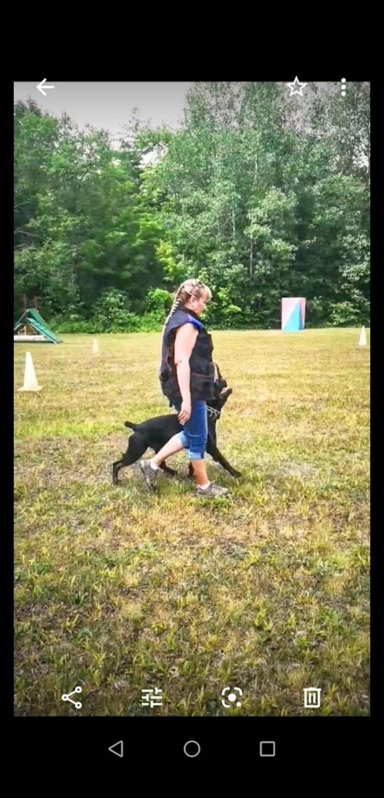 K9 Mechanix Dog Training | 383 County Rd 41, Kirkfield, ON K0M 2B0, Canada | Phone: (705) 309-5230