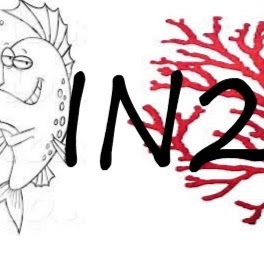 In2Deep Corals | 49 Palomino Dr, Brantford, ON N3P 1J6, Canada | Phone: (905) 981-9410
