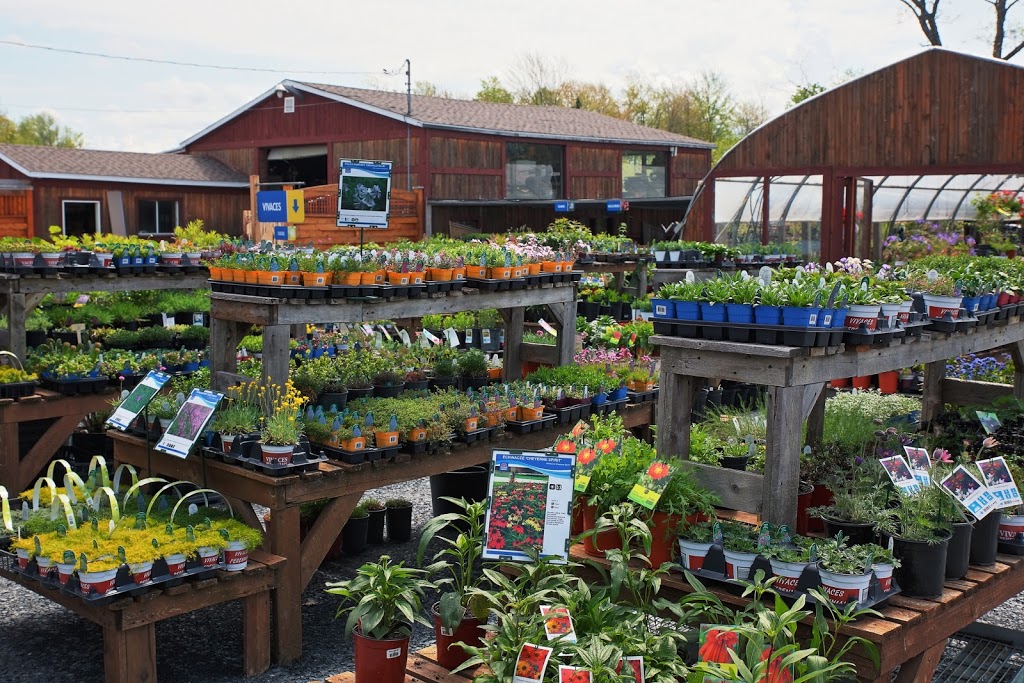 Jardin Eden | 5316 Boul Bourque, Sherbrooke, QC J1N 1H3, Canada | Phone: (819) 864-6831