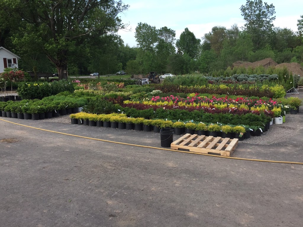 Lavocats Family Greenhouse and Nursery | 8441 County Rd, East Amherst, NY 14051, USA | Phone: (716) 741-3976