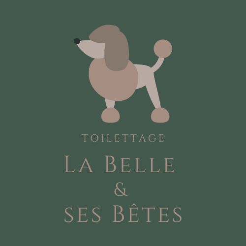 Toilettage La Belle & ses Bêtes | 39 Rue Richelieu, Sainte-Brigitte-de-Laval, QC G0A 3K0, Canada | Phone: (581) 994-2222