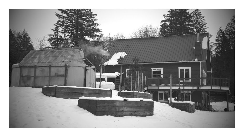 Dislodge At Mt Baker | 9753 Mt Baker Hwy, Deming, WA 98244, USA | Phone: (360) 599-1852