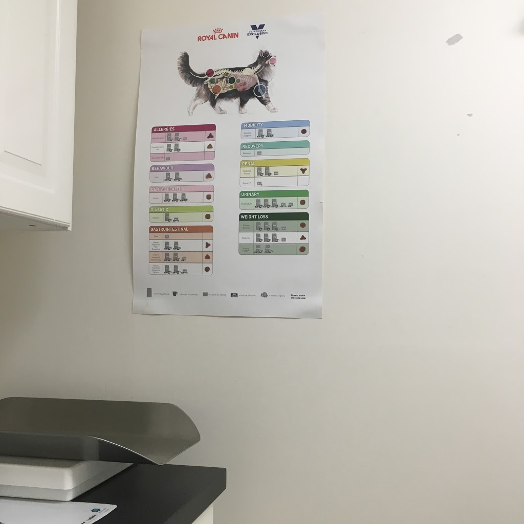 Church Yonge Animal Clinic | 19 Church Ave, North York, ON M2N 4E7, Canada | Phone: (647) 348-3060
