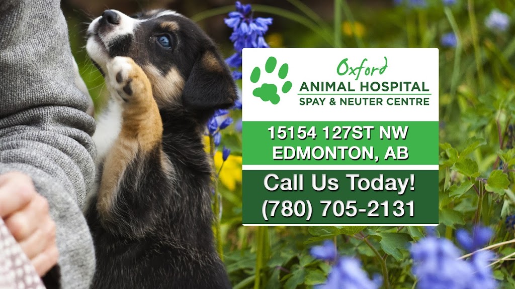 Oxford Animal Hospital | 15154 127 St NW, Edmonton, AB T6V 0C5, Canada | Phone: (780) 705-2131
