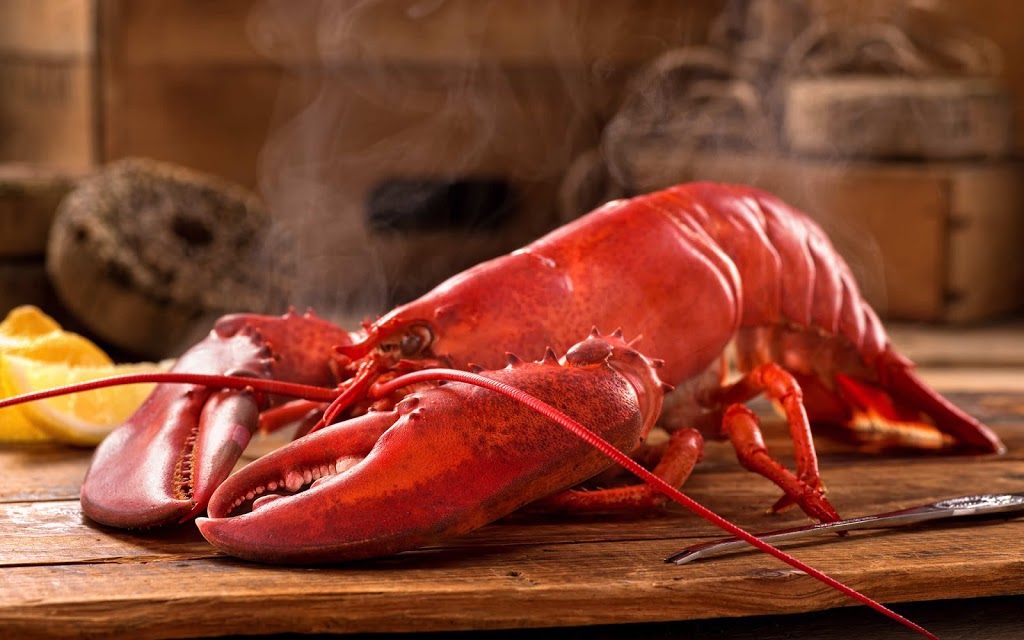 Peggys Cove Lobster | 130 Peggys Point Rd, Peggys Cove, NS B3Z 3S2, Canada | Phone: (902) 541-9177