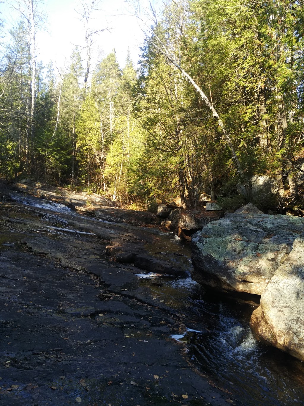 Parc national de la Mauricie | Chemin de Saint-Jean-des-Piles, Shawinigan, QC G0X 2V0, Canada | Phone: (819) 538-3232