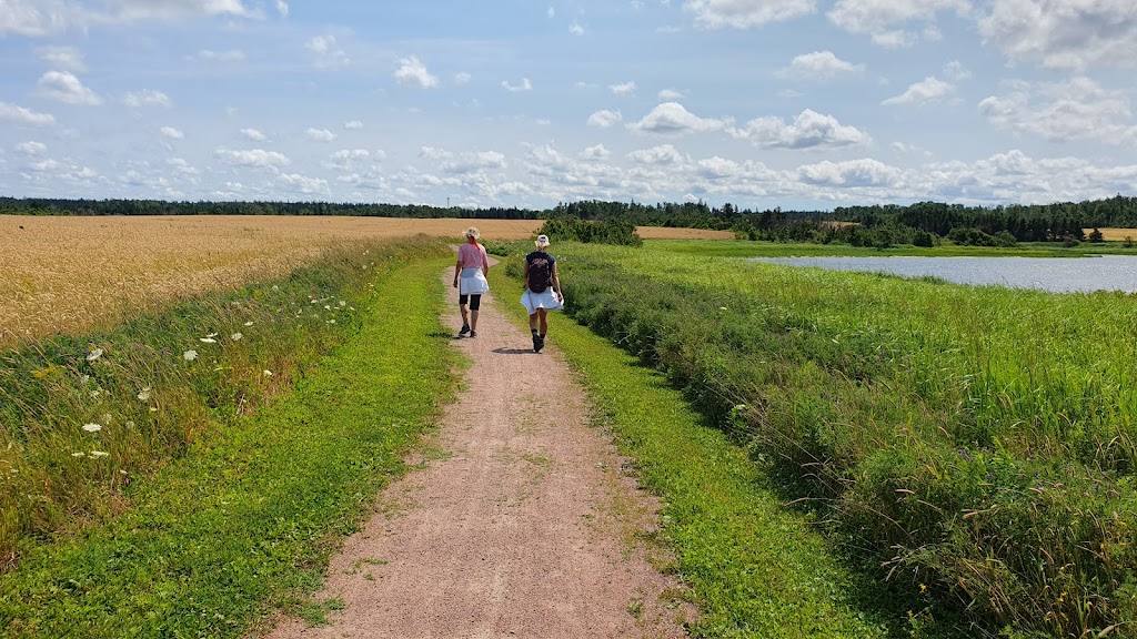 Cavendish Dunelands Trail, Prince Edward Island National Park | 590 Grahams Ln, Cavendish, PE C0A 1Mn, Canada | Phone: (902) 672-6350