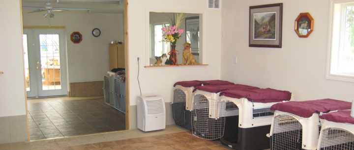 Pet Country Estate | 3087 20th Sideroad, Innisfil, ON L9S 1A8, Canada | Phone: (705) 431-1010