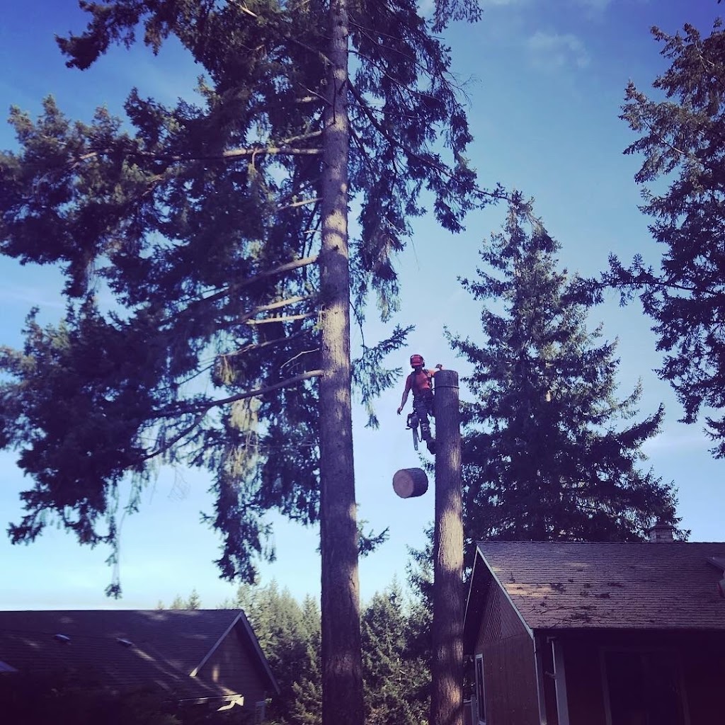 Onsight Tree Services | 5378 Winchester Rd, Sahtlam, BC V9L 6G1, Canada | Phone: (250) 893-0347