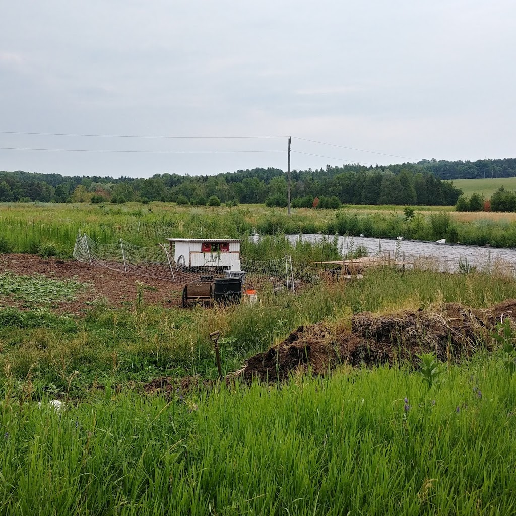 The Whole Villlage | 20725 Shaws Creek Rd, Alton, ON L7K 1L7, Canada | Phone: (519) 941-1099