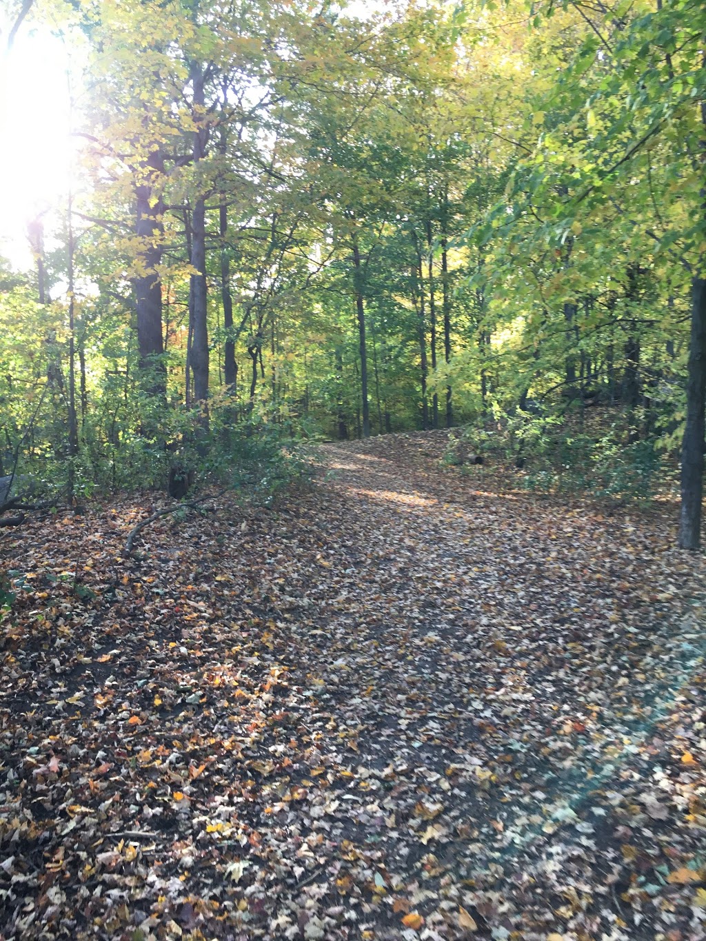 Norm Weller Park | 250 McClellan Way, Aurora, ON L4G 6N9, Canada