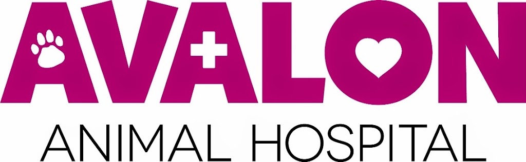 Avalon Animal Hospital | 556 Logy Bay Rd, St. Johns, NL A1A 5G6, Canada | Phone: (709) 754-1750