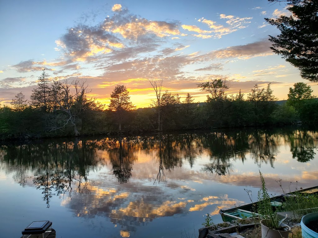 The Cedars Waterview Campground Inc. | 359 Frankford Stirling Rd, Quinte West, ON K0K 2C0, Canada | Phone: (613) 438-4417