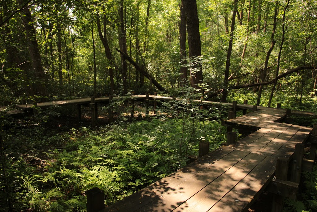 Bois-de-Liesse Nature Park | 9432 Boul Gouin O, Pierrefonds, QC H8Y 1T4, Canada | Phone: (514) 280-6729