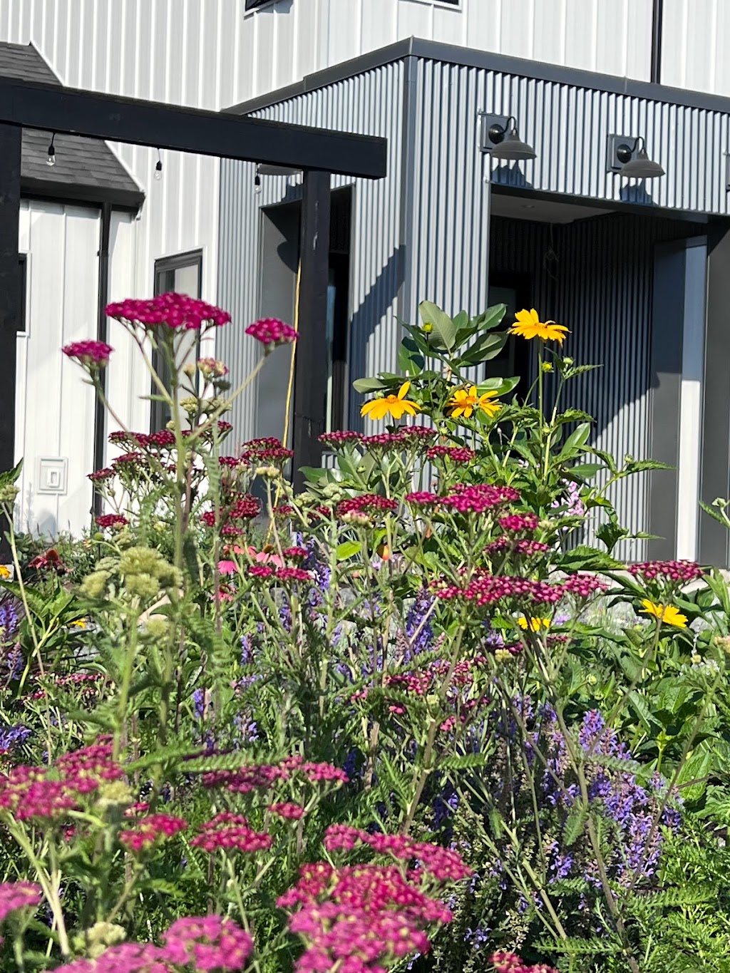 Whale Tail Farm | 6600 Lochside Dr, Saanichton, BC V8M 1Y2, Canada | Phone: (604) 309-0616