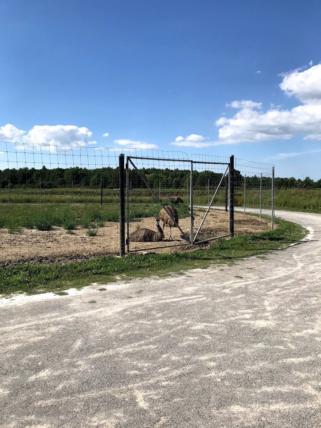 Procon Constructors Inc. | 401 Enterprise Dr, Welland, ON L3B 6H8, Canada | Phone: (905) 732-0322