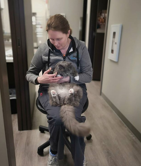 Emerald Hills Veterinary Clinic | Sherwood Park Vet | 5000 Emerald Dr #230, Sherwood Park, AB T8H 0P5, Canada | Phone: (780) 328-6452