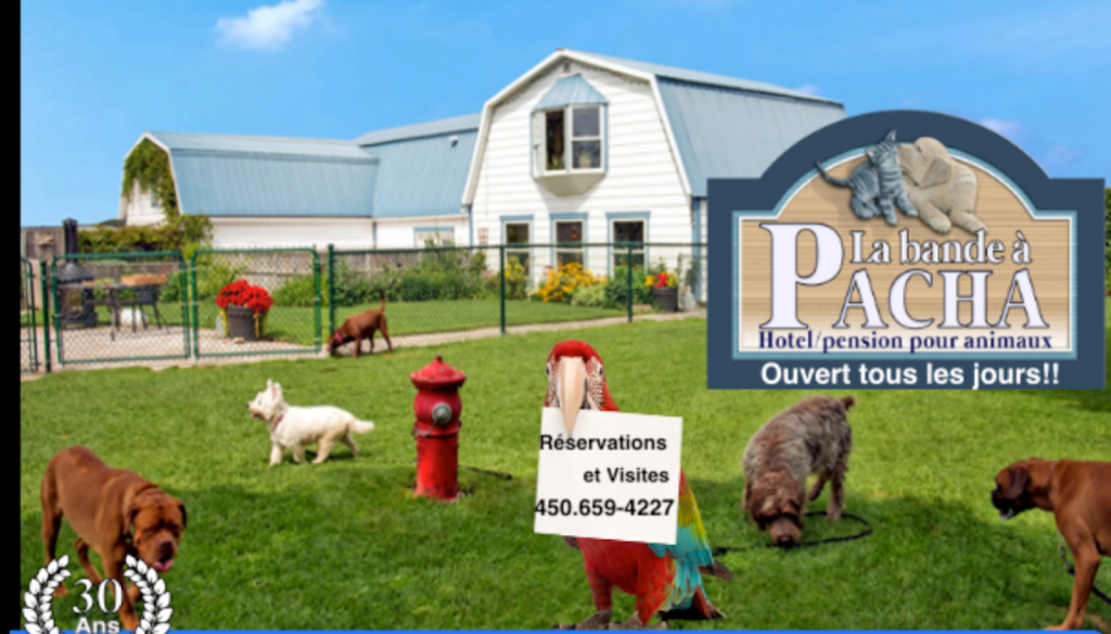 Bande A Pacha (La) | 151 Rte Édouard VII, Saint-Jacques-le-Mineur, QC J0J 1Z0, Canada | Phone: (450) 659-4227
