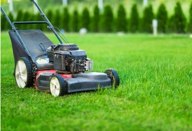 Red Bears Lawn Care | 4925 Rue de Nanterre, Pierrefonds-Roxboro, QC H9J 1W2, Canada | Phone: (514) 827-4855