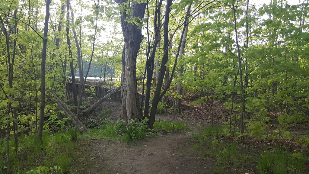 Gwendolen Park | 3 Gwendolen Crescent, North York, ON M2N 2L7, Canada