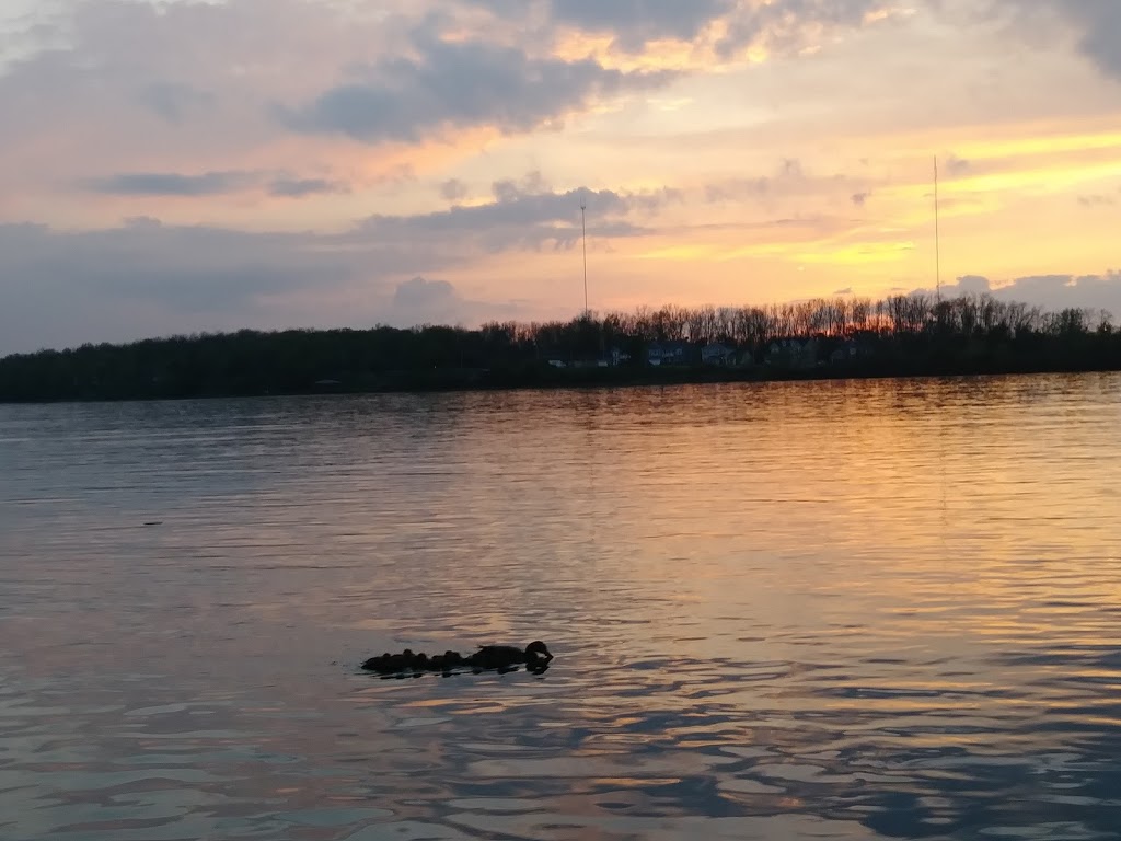 Niawanda Park | 200 Niagara St, Tonawanda, NY 14150, USA | Phone: (716) 505-1172