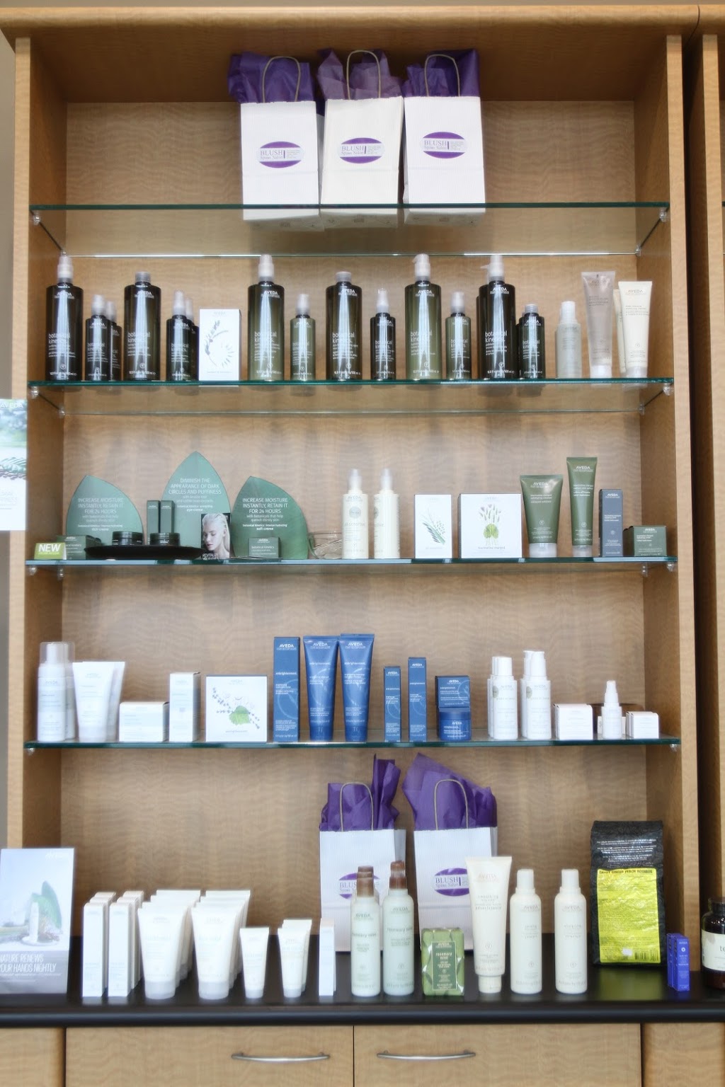Blush Spa & Salon | 5844 Malden Rd, Windsor, ON N9H 1S4, Canada | Phone: (519) 966-1136