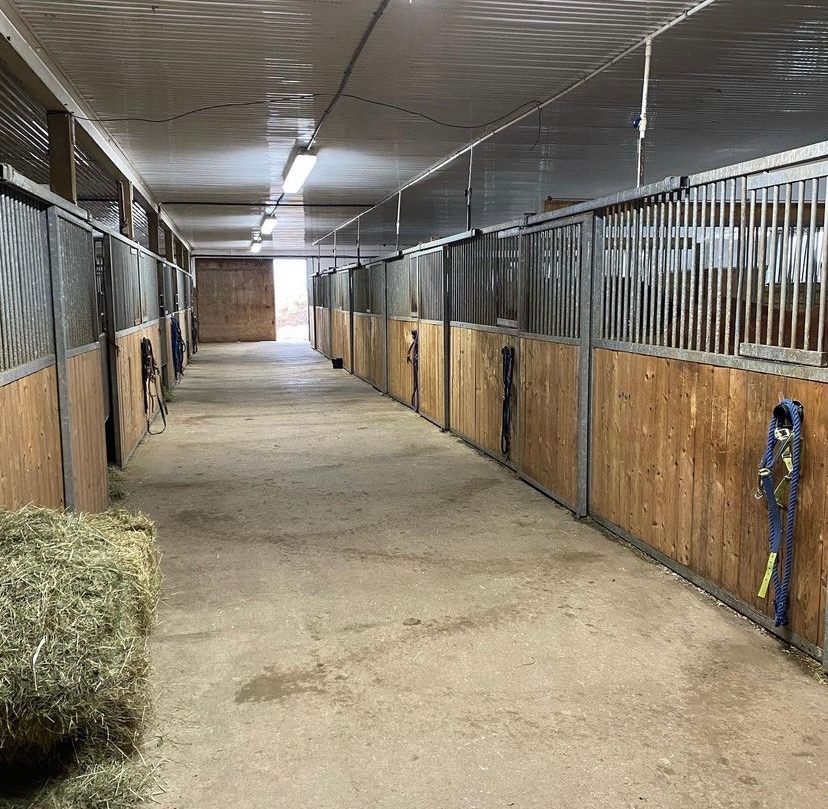 TS Performance Horses | 319 Division Rd, Pictou, NS B0K 1H0, Canada | Phone: (902) 301-4252