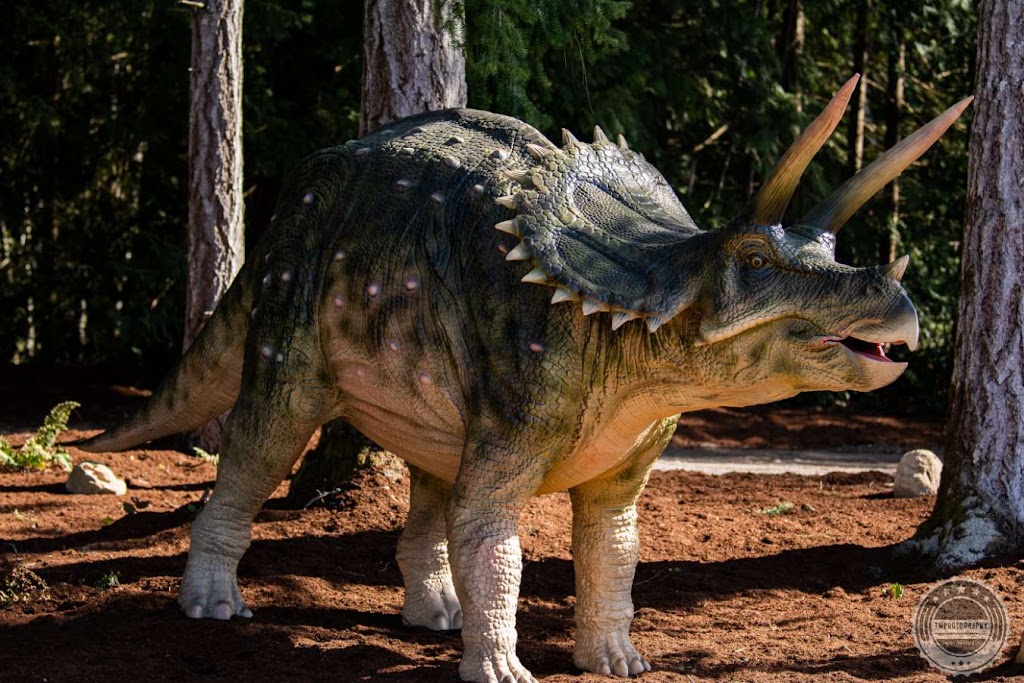 Dino North | 7890 Clark Dr W, Lantzville, BC V0R 2H0, Canada | Phone: (236) 628-1416