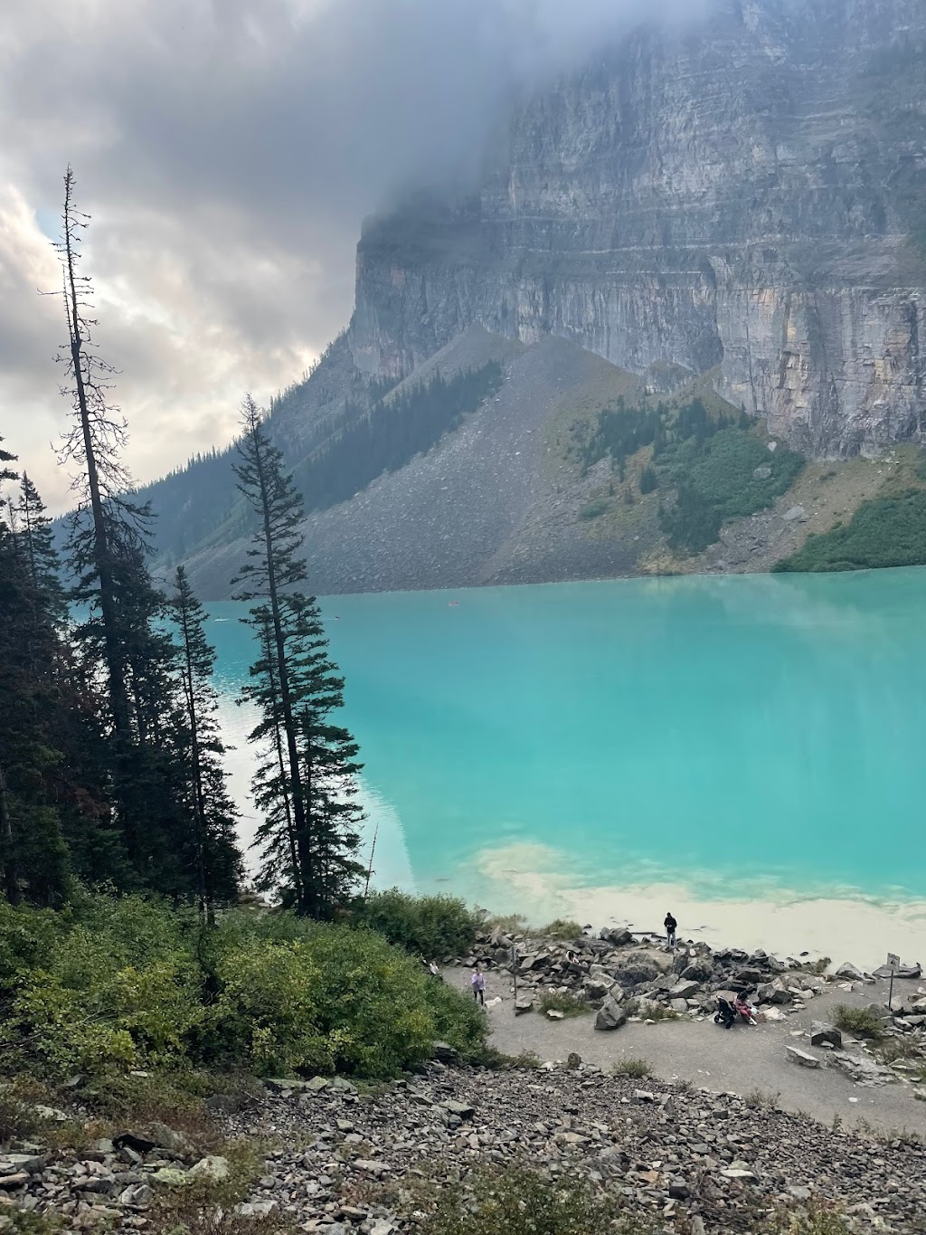 Timberline Tours Ltd | 101 St Piran Rd, Lake Louise, AB T0L 1E0, Canada | Phone: (403) 522-3743
