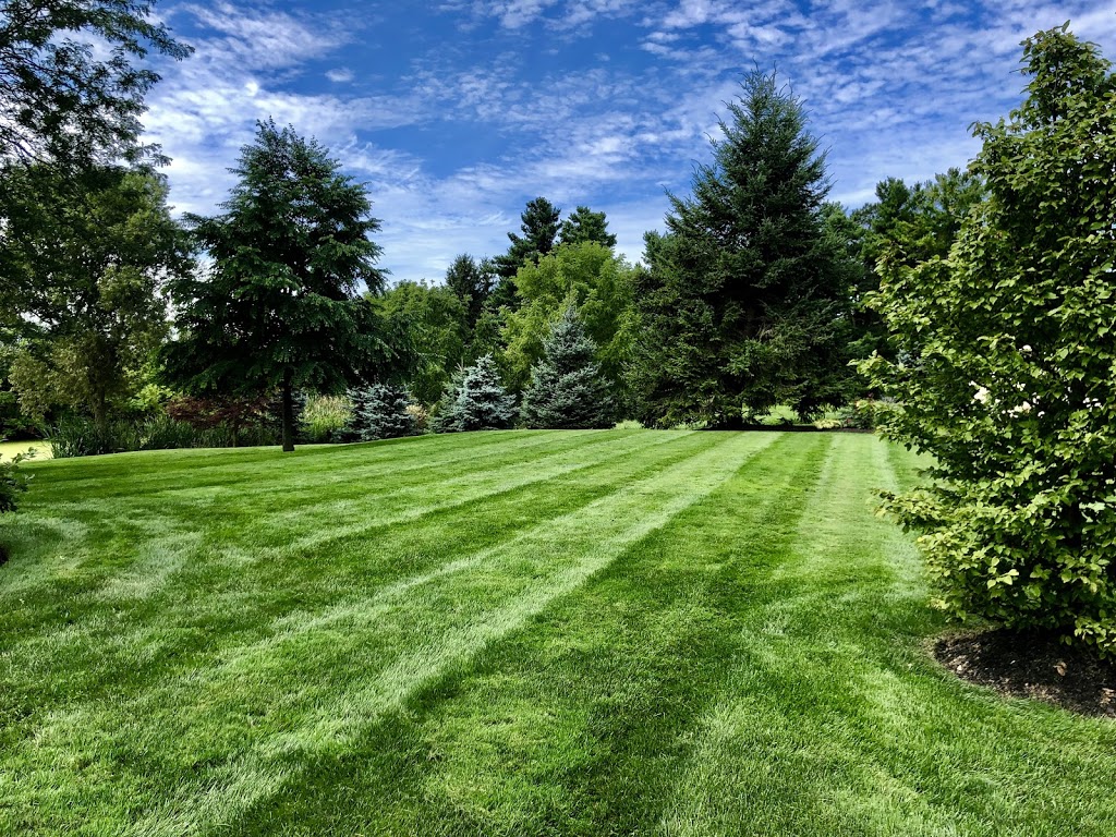 Greenview Landscape Inc. | 146 Hunter Rd, Niagara-on-the-Lake, ON L0S 1J0, Canada | Phone: (289) 407-6635