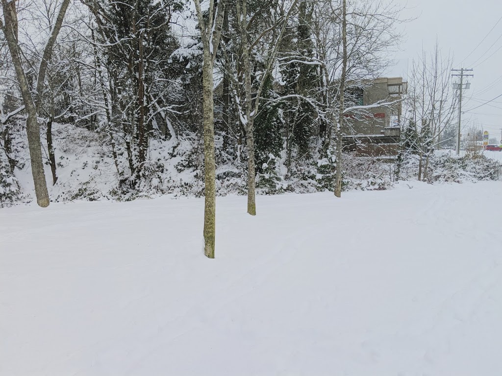 Dog Off Leash Area | Unnamed Road, Nanaimo, BC V9S 1V6, Canada | Phone: (250) 756-5200