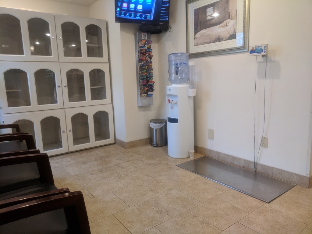 Millersport Animal Hospital | 3210 Millersport Hwy, Getzville, NY 14068, USA | Phone: (716) 688-9424