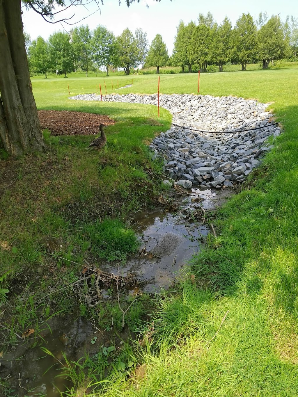 Coaticook Golf Club | 660 Rue Merrill, Coaticook, QC J1A 2S2, Canada | Phone: (819) 849-9876