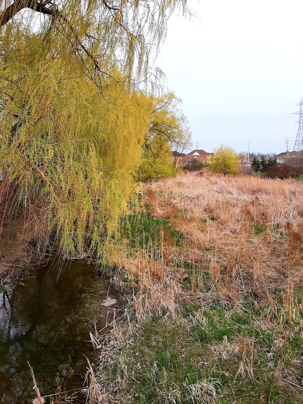 Heatherglen Valley | Brampton, ON L6Y 0B7, Canada | Phone: (905) 874-2000