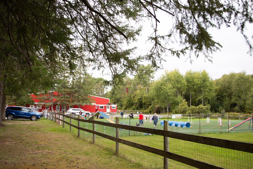 Red Barn Event Centre | 8464 Simcoe County Rd 27, Barrie, ON L4N 9C4, Canada | Phone: (705) 812-3467