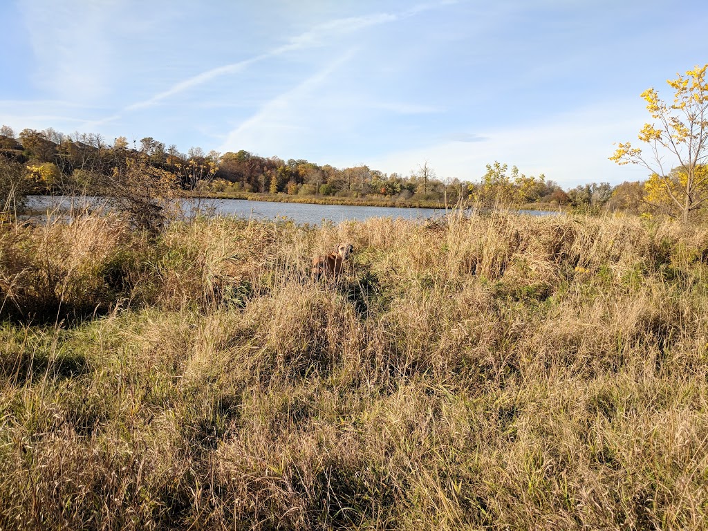 Snyders Flats Conservation Area | 1260 Snyders Flats Rd, Bloomingdale, ON N0B 1K0, Canada | Phone: (519) 621-2761